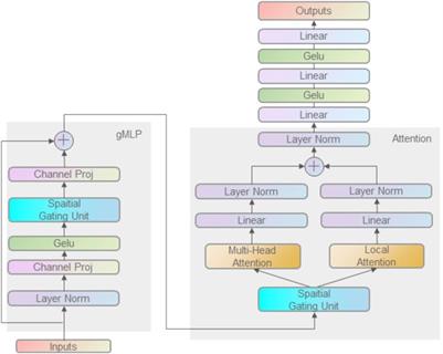 Hybrid gMLP model for interaction prediction of MHC-peptide and TCR